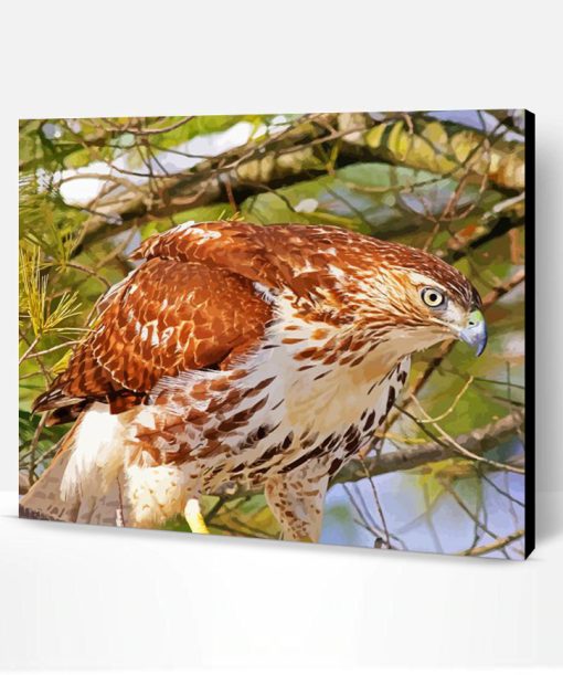 Hawk In A Forest Paint By Number