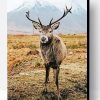 Highland Stag Animal Paint By Numbers