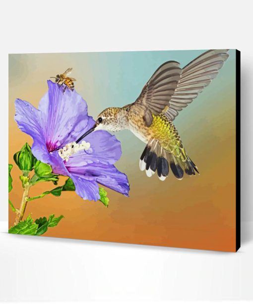 Hummingbird And Bee Paint By Numbers