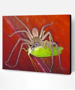 Huntsman Spider Feeding Paint By Numbers