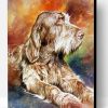 Italian Spinone Art Paint By Number