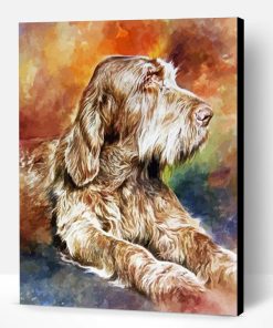 Italian Spinone Art Paint By Number