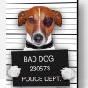 Jack Russell Mugshot Paint By Number