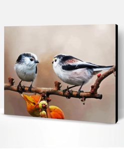 Long Tailed Tits Birds On a Branch Paint By Numbers