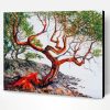Madrone Arbutus Tree Paint By Number