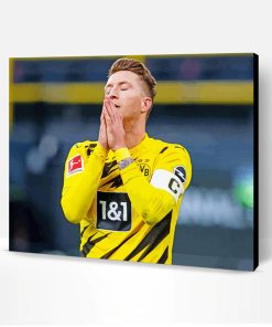 Marco Reus Borussia Dortmund BVB Player Paint By Numbers