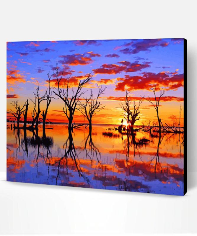 Menindee Dead Trees Paint By Number