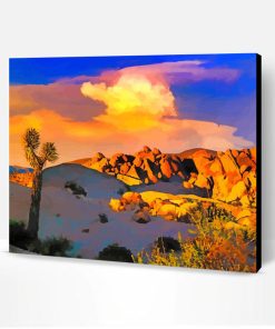 Mojave Desert California Paint By Number