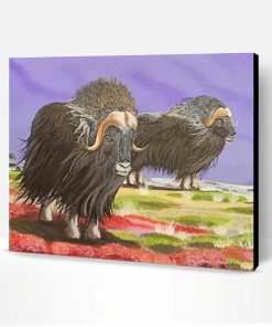 Muskox Animals Art Paint By Numbers