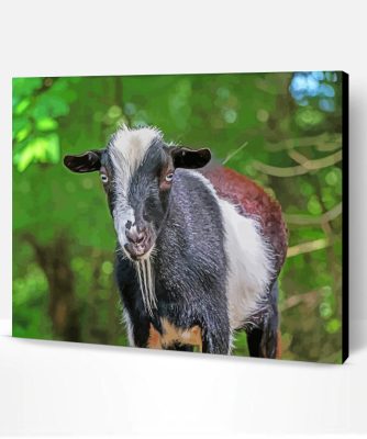 Nigerian Dwarf Goat Animal Paint By Number