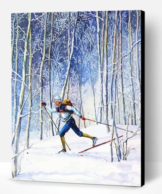 Nordic Skier Paint By Numbers