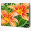 Orange Daylilies Paint By Number