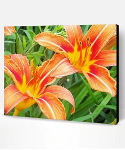 Orange Daylilies Paint By Number