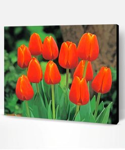 Orange Tulips Paint By Number