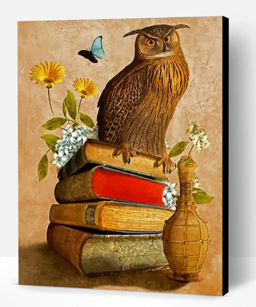 Owl Bird On Books Paint By Number