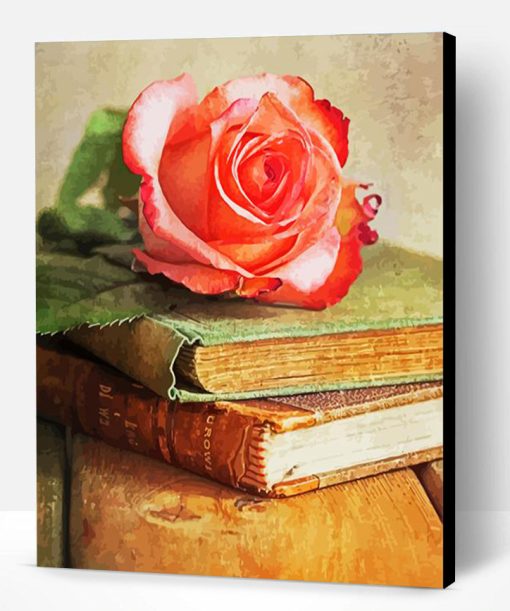 Pink Rose On Books Paint By Number