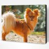 Pomchi Dog Paint By Number