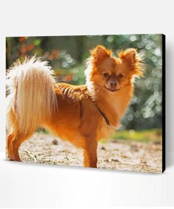 Pomchi Dog Paint By Number