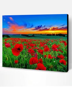 Poppies In A Sunset Paint By Number