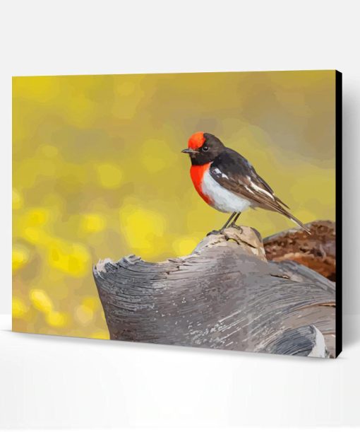 Red Capped Robin Bird Paint By Number