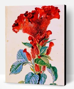 Red Cockscomb Flower Art Paint By Numbers