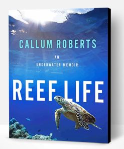 Reef Life Callum Roberts Poster Paint By Numbers