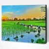Rice Field Asia Paint By Number