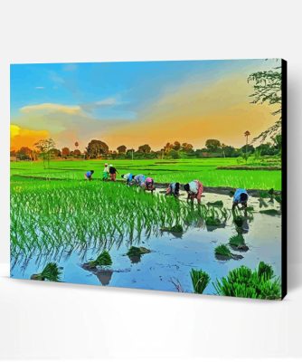 Rice Field Asia Paint By Number