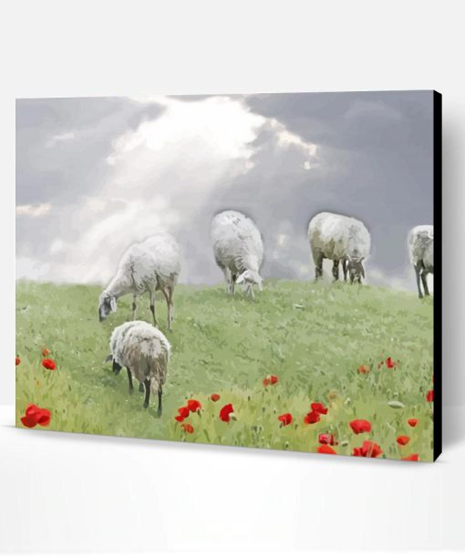 Sheep In A Poppy Field Paint By Number