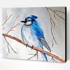 Snowy Blue Jay In Winter Paint By Number