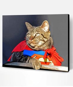 Superhero Cat Paint By Numbers