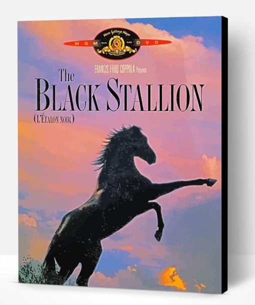 The Black Stallion Paint By Number