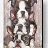 Three Boston Terriers Paint By Numbers