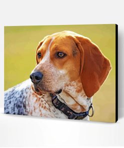 Treeing Walker Coonhound Dog Paint By Number
