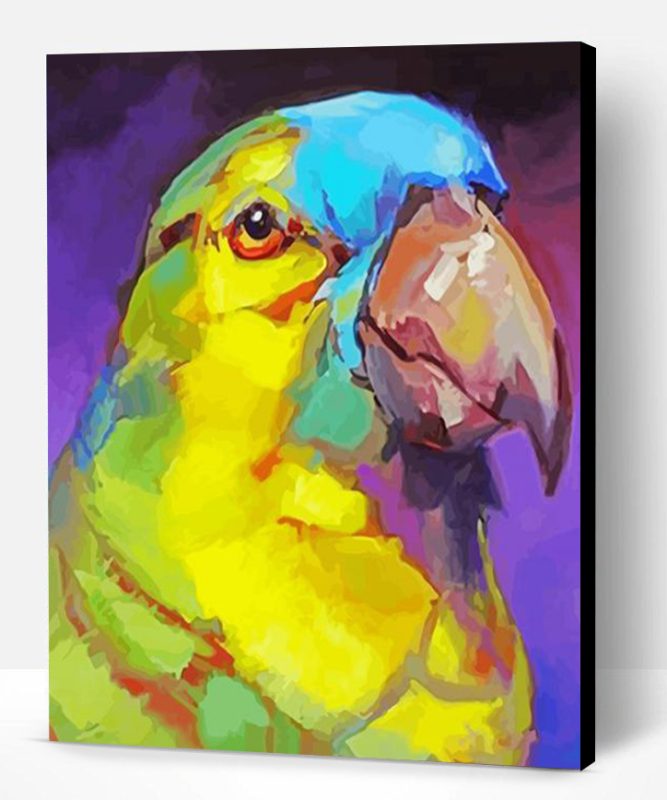 Turquoise Fronted Amazon Head Art Paint By Numbers