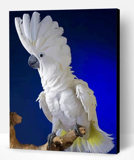 Umbrella Cockatoo Bird Paint By Number