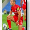 Wales National Rugby Union Team Player Paint By Numbers