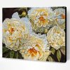 White Peonies Paint By Numbers