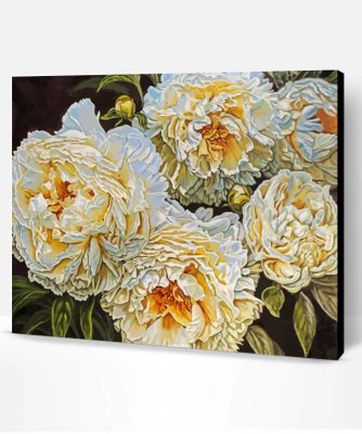 White Peonies Paint By Numbers