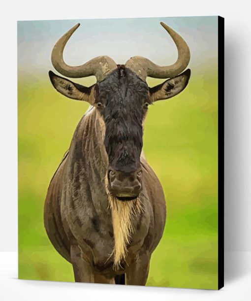 Wildebeest Animal Paint By Number