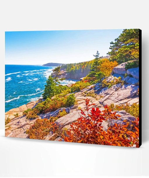 Acadia National Park Paint By Number