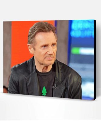 Actor Liam Neeson Paint By Number