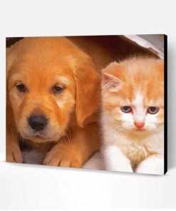 Adorable Puppy And Kitten Paint By Number