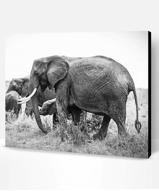 Adventure African Elephants Animal Paint By Number