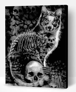 Aesthetic Skull And Cat Paint By Number