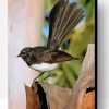 Aestetic Willy Wagtail Paint By Number