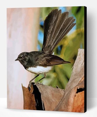 Aestetic Willy Wagtail Paint By Number