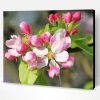 Aesthetic Apple Blossom Illustration Paint By Number