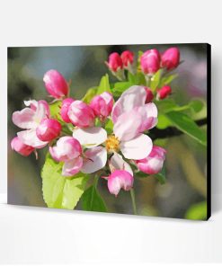 Aesthetic Apple Blossom Illustration Paint By Number