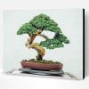 Aesthetic Bonsai Tree Paint By Number